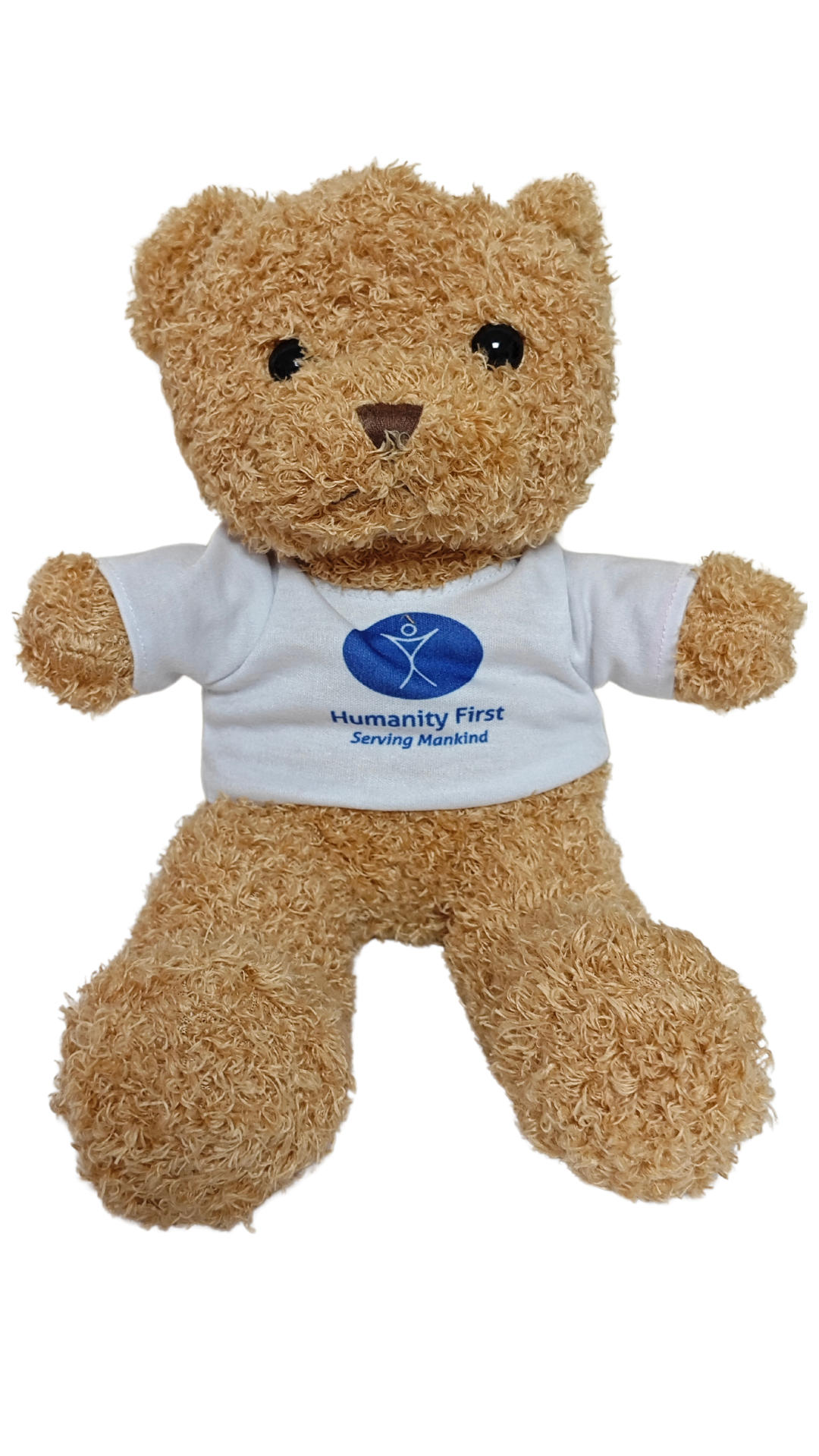 30cm Plush Bear